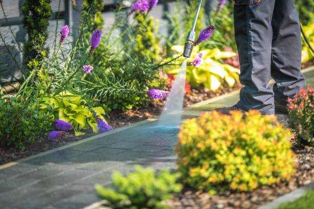 Best Pre-Holiday Cleaning  in North Bay Shore, NY