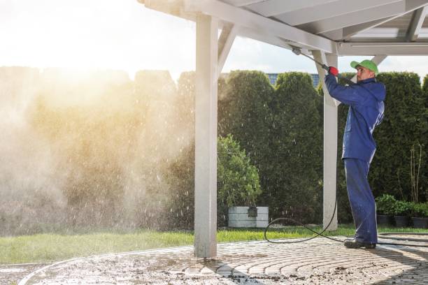 Best Dumpster Area Cleaning  in North Bay Shore, NY